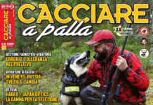 Cacciare a Palla febbraio 2019 in edicola dal 18 gennaio Cacciare a Palla febbraio 2019