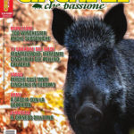 Cinghiale che Passione febbraio-marzo 2019 in edicola dal 23 gennaio cinghiale che passione febbraio-marzo 2019