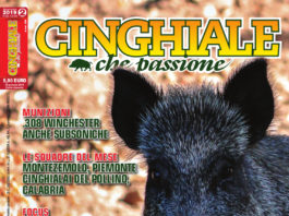 Cinghiale che Passione febbraio-marzo 2019 in edicola dal 23 gennaio cinghiale che passione febbraio-marzo 2019