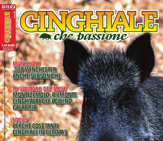 Cinghiale che Passione febbraio-marzo 2019 in edicola dal 23 gennaio cinghiale che passione febbraio-marzo 2019