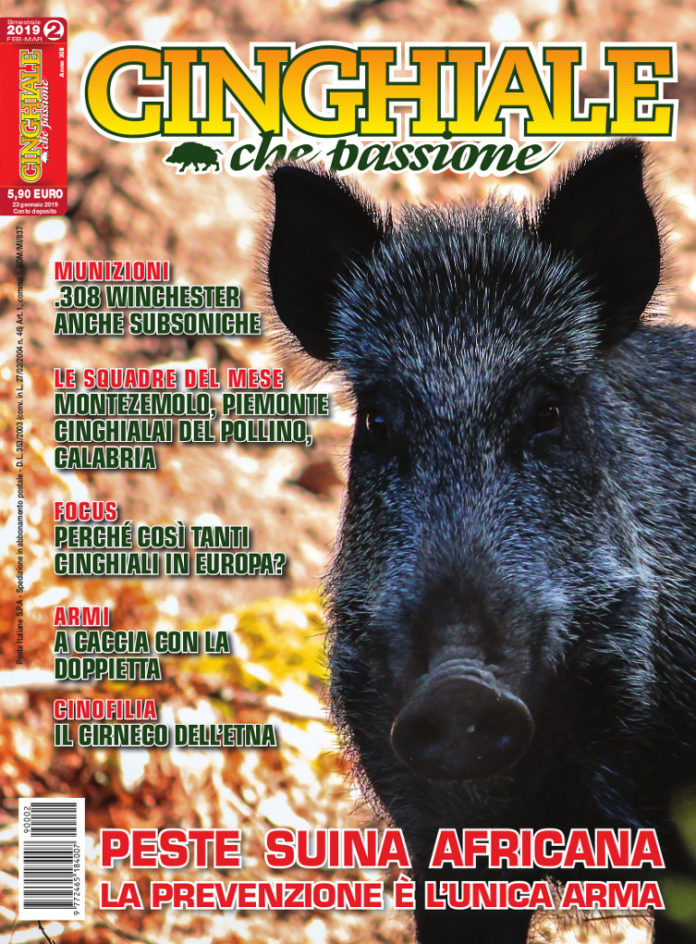 cinghiale che passione febbraio-marzo 2019