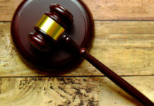 Incidenti di caccia e porto d’armi: la sentenza del Tar Incidenti di caccia martello del giudice per sentenza del Tar