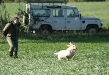 Cacciatori cinofili: zingari felici cacciatori