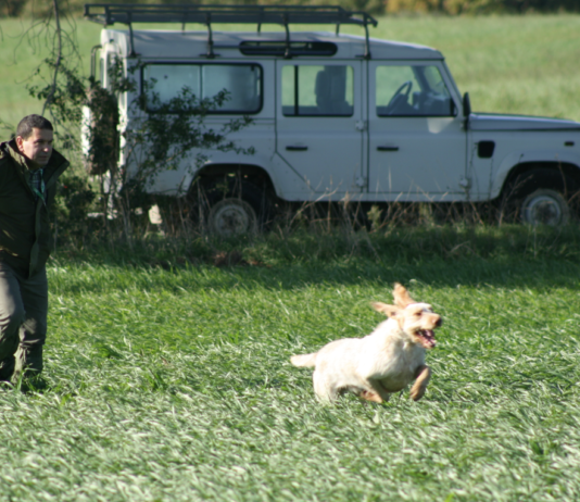 Cacciatori cinofili: zingari felici cacciatori