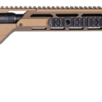 Steatlh Evolution Savage
