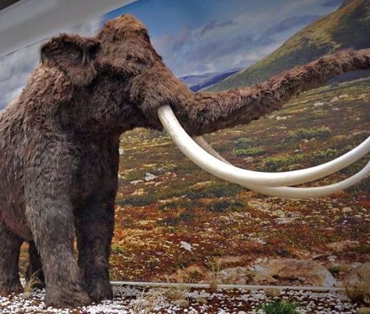 Mostra sulla caccia e le sue origini a Hit Show mostra di caccia a Hit Show