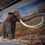 mostra di caccia a Hit Show mammut a grandezza naturale