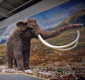 mostra sulla caccia a Hit Show mammut a grandezza naturale