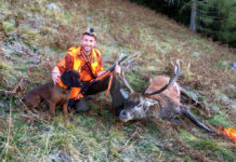 Recupero ungulati feriti: l’iniziativa di S.C.I. Italian Chapter a Hit Show