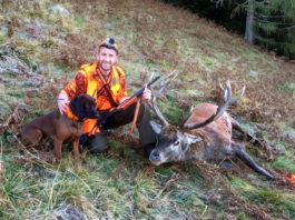 Recupero ungulati feriti: l’iniziativa di S.C.I. Italian Chapter a Hit Show