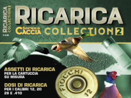Ricarica Collection 2: vi aspetta in edicola dal 2 febbraio ricarica collection 2