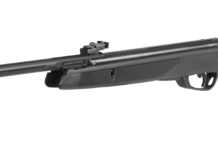 Armi di libera vendita: Adinolfi importa le Gamo Black Bear e HV Storm armi di libera vendita gamo black bear