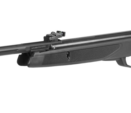 Armi di libera vendita: Adinolfi importa le Gamo Black Bear e HV Storm armi di libera vendita gamo black bear