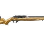 fucile da competizione Ruger 10 22 Competition