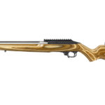 fucile sportivo ruger 10 22 competition visto da sinistra