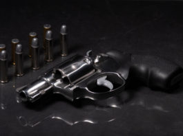 Manifesto per i diritti dei possessori di armi: ecco l’idea di Maullu revolver 38 con dieci proiettili, manifesto per i diritti dei possessori di armi