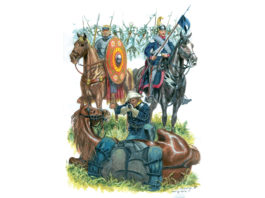 Militalia: la fiera del collezionismo militare torna a Novegro 65 militalia la fiera del collezionismo militare