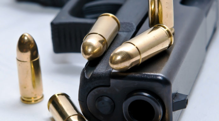 pistola appoggiata su un fianco con cinque proiettili: la proposta del pd sul porto d'armi