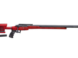 Sabatti STR Sport, la carabina da tiro col fuoco dentro carabina da tiro sabatti str sport