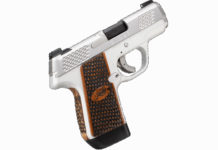 Kimber Evo SP Stainless Raptor, una pistola compatta rapace pistola compatta Kimber Evo SP Stainless Raptor