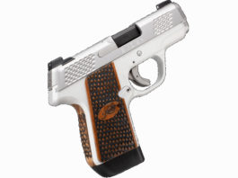 Kimber Evo SP Stainless Raptor, una pistola compatta rapace pistola compatta Kimber Evo SP Stainless Raptor