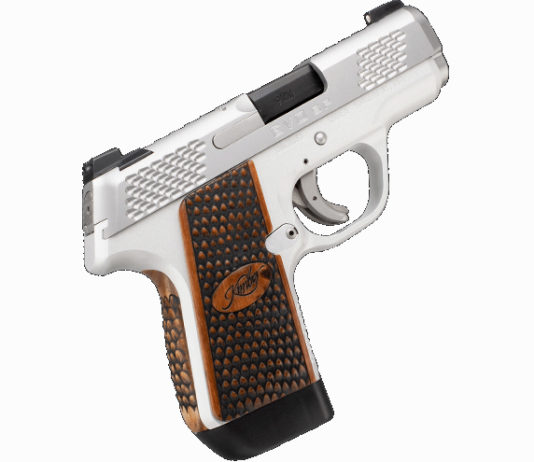 Kimber Evo SP Stainless Raptor, una pistola compatta rapace pistola compatta Kimber Evo SP Stainless Raptor