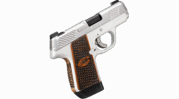 pistola compatta Kimber Evo SP Stainless Raptor