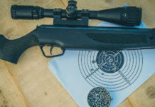 Aperto a Torino poligono per armi ad aria compressa poligono per armi ad aria compressa