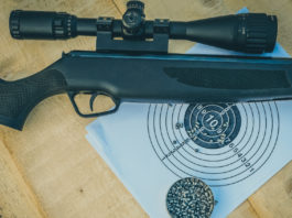 Aperto a Torino poligono per armi ad aria compressa poligono per armi ad aria compressa