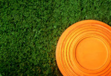 Impianti di tiro a volo, la Fitav sul regolamento per l’omologazione piattello su erba in impianti di tiro a volo