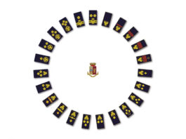 Presentati i nuovi distintivi della polizia Presentati i nuovi distintivi della polizia