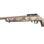 la carabina rimfire ruger vista da sinistra