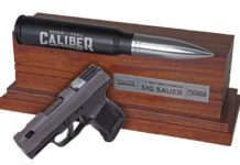 La miglior pistola del 2019 è una Sig Sauer La Sig Sauer P365 SAS è la miglior pistola del 2019, vince il Nasgw Poma Caliber Award