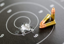 Munizioni in piombo nel tiro sportivo: incontro tra federazioni e Anpam Munizioni in piombo nel tiro sportivo