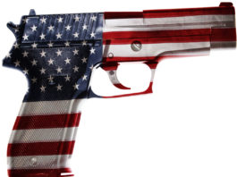 Armi negli Stati Uniti: l’analisi di mercato di Nasgw armi negli Stati Uniti: pistola decorata con bandiera americana