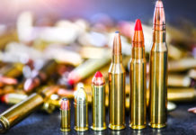 Divieto di munizioni in piombo: verso una strategia comune a livello europeo divieto di munizioni in piombo: sei munizioni in ordine d'altezza crescente