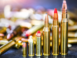 Divieto di munizioni in piombo: verso una strategia comune a livello europeo divieto di munizioni in piombo: sei munizioni in ordine d'altezza crescente