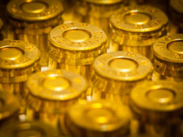 9×19 Parabellum in Italia: Candura interviene al Senato 9x19 Parabellum in Italia: munizioni 9 mm Luger viste dall'alto