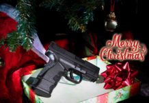 Buon Natale a tutti i lettori di Armi Magazine!