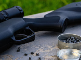 Allenamento per carabina e pistola ad aria compressa: l’iniziativa del Tsn di Milano Allenamento per carabina e pistola ad aria compressa