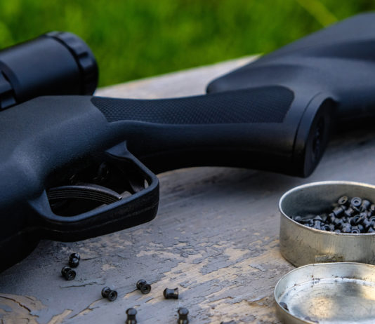 Allenamento per carabina e pistola ad aria compressa: l’iniziativa del Tsn di Milano Allenamento per carabina e pistola ad aria compressa