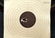 Al via gli Europei di tiro 10 metri Al via gli Europei di tiro 10 metri: bersaglio di tiro per aria compressa 10 metri