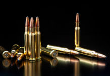 Munizioni in piombo: Pietro Fiocchi interviene in commissione Ambiente munizioni in piombo per carabina