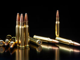 Munizioni detenibili, la sentenza del Tar munizioni in piombo per carabina