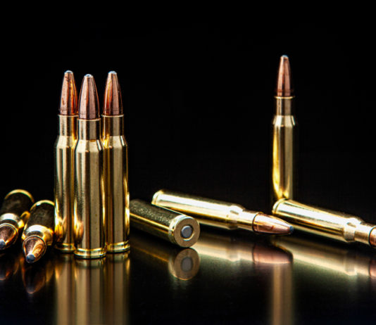 Munizioni in piombo: Pietro Fiocchi interviene in commissione Ambiente munizioni in piombo per carabina