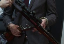 Cosmi rigato, caratteristiche e disponibilità | Hit Show 2020