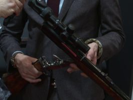 Cosmi rigato, caratteristiche e disponibilità | Hit Show 2020