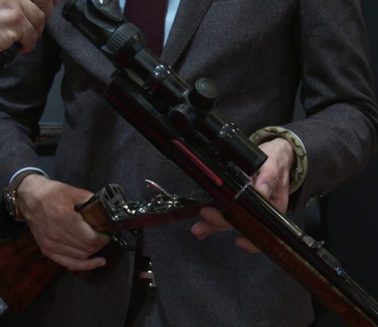 Cosmi rigato, caratteristiche e disponibilità | Hit Show 2020