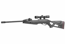 Gamo Swarm Fox, leggera e performante