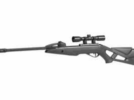 Gamo Swarm Fox, leggera e performante